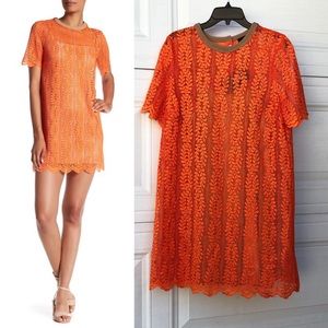 ABS by Allen Schwartz Lace Shirt Dress